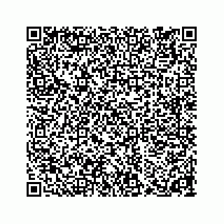 vCard 74923335331