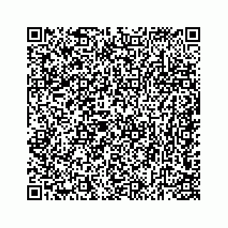 vCard 74923335387