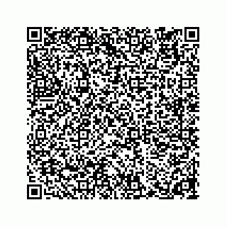 vCard 74923393313