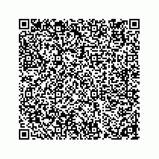 vCard 74923393380