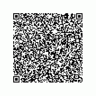 vCard 74932405519