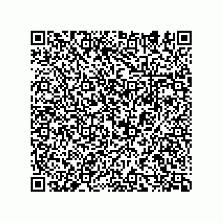 vCard 74932409387