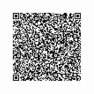 vCard 74932479620