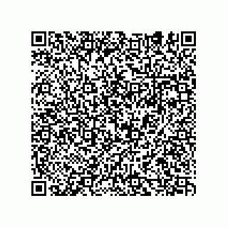 vCard 74932479679