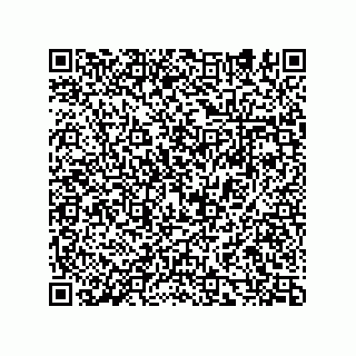 vCard 74932479703