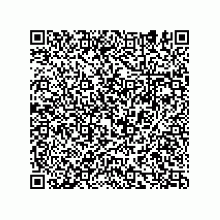 vCard 74932479713