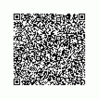vCard 74932479729