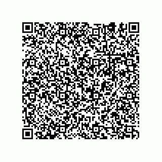 vCard 74932479731