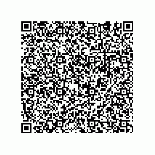vCard 74932479735
