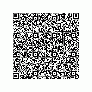 vCard 74932479740