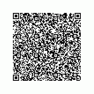 vCard 74932479747