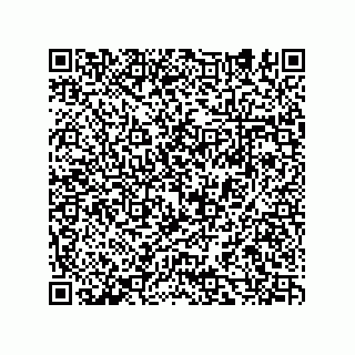 vCard 74932479774