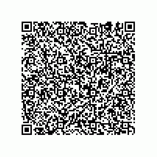 vCard 74932479777