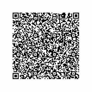 vCard 74932479798