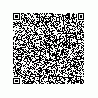 vCard 74932479799