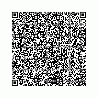 vCard 74933176379