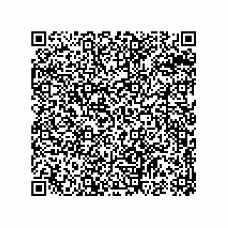 vCard 74933197009