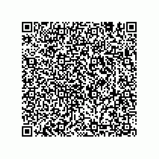 vCard 74933197100