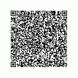 vCard 74933197107