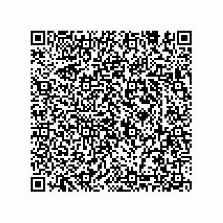 vCard 74933197311