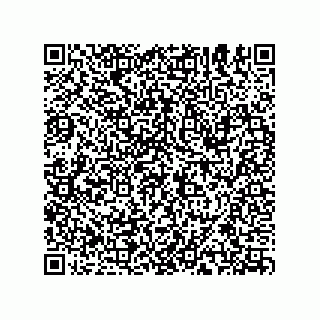 vCard 74935334113