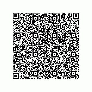 vCard 74935334135