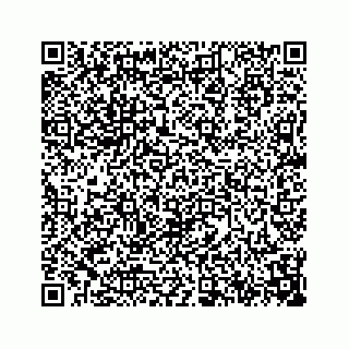 vCard 74935523131