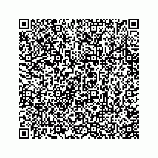 vCard 74935523133