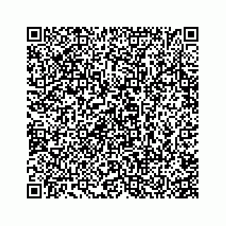 vCard 74935523138