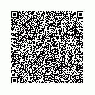 vCard 74935523173