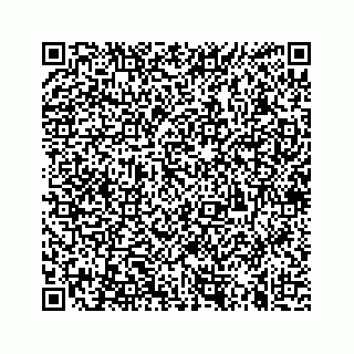 vCard 74935523176