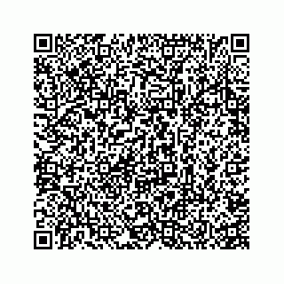 vCard 74935523177