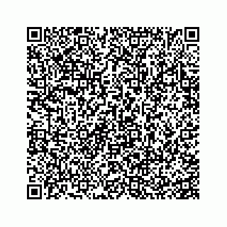 vCard 74935528399