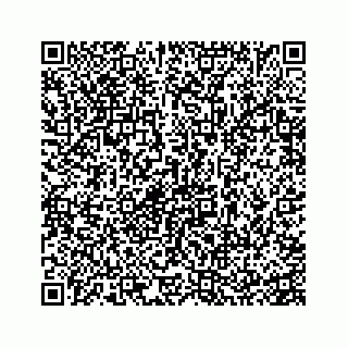 vCard 74935528419