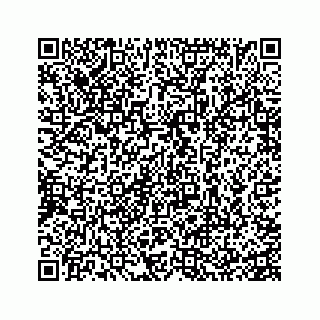 vCard 74935528524