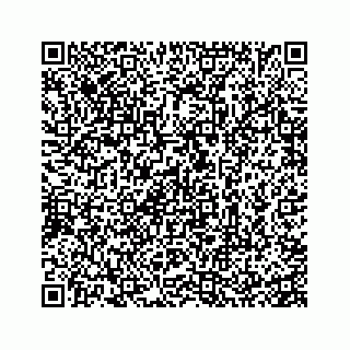 vCard 74935528527