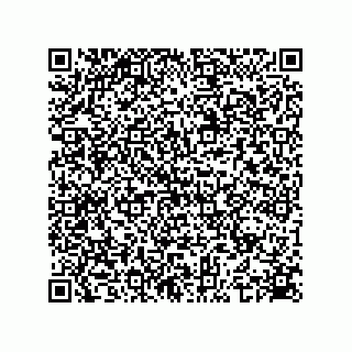 vCard 74935728100