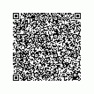 vCard 74935729118