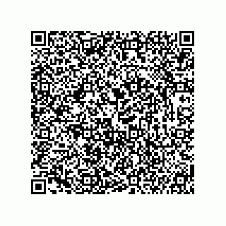 vCard 74935729119
