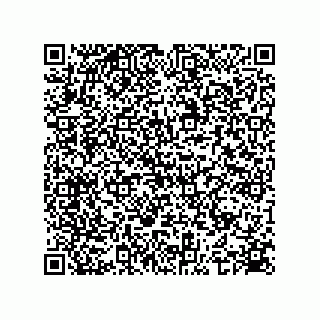 vCard 74935729133