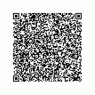 vCard 74935729138