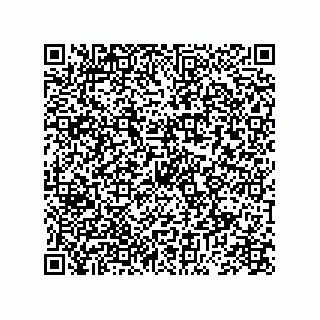 vCard 74943733384