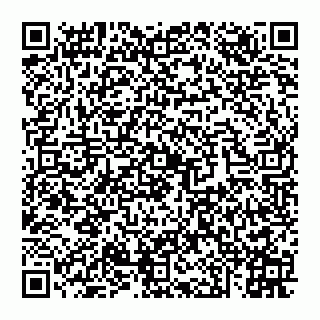 vCard 74951000399