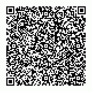 vCard 74951001038