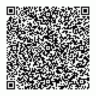 vCard 74951001339