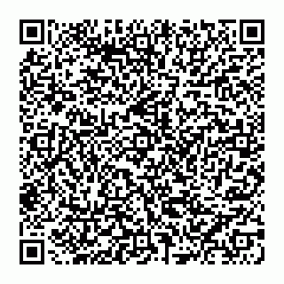 vCard 74951001539