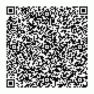 vCard 74951001839