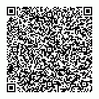 vCard 74951003303