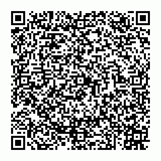 vCard 74951003339