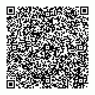 vCard 74951003439